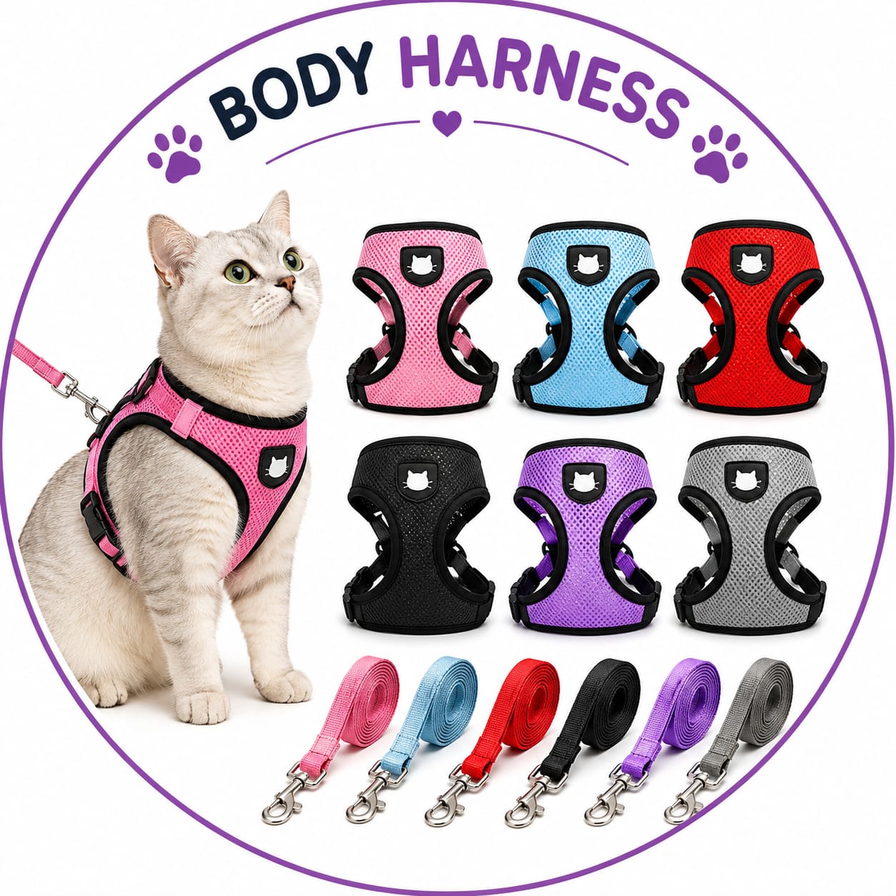Harness