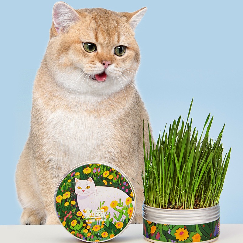 Organic Cat Grass Growing Kit – Canned Seeds & Soil for Hairball Control & Digestion
