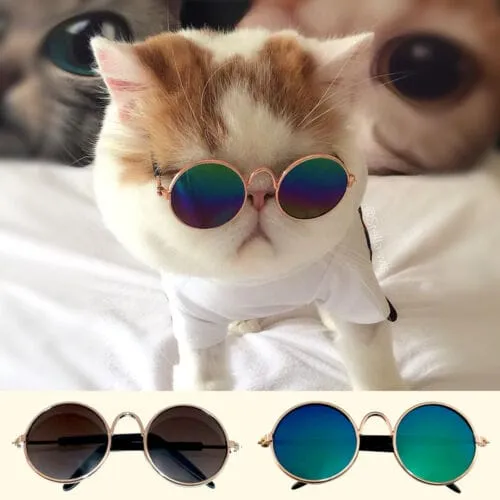 Round Shape Sunglasses For Cat & Puppy