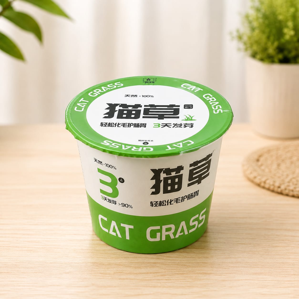 Cat Grass Seed Box